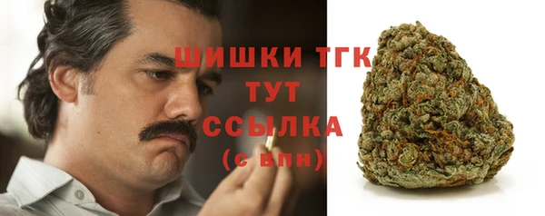 PSILOCYBIN Дмитровск