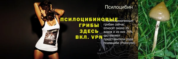 PSILOCYBIN Дмитровск