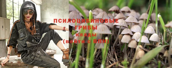 apvp Дмитриев