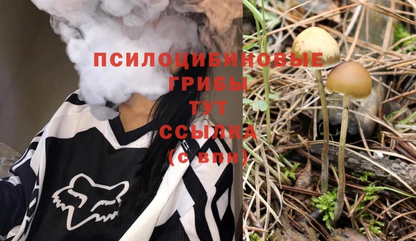 PSILOCYBIN Дмитровск