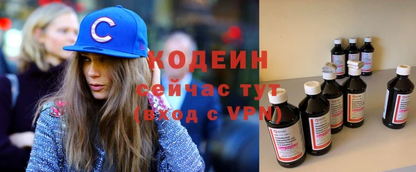 apvp Дмитриев