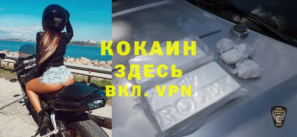 apvp Дмитриев